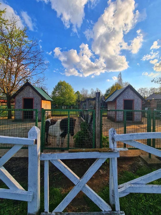 Stajicevo Wood Mood Apartman Tiganjica المظهر الخارجي الصورة